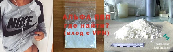 гашик Баксан