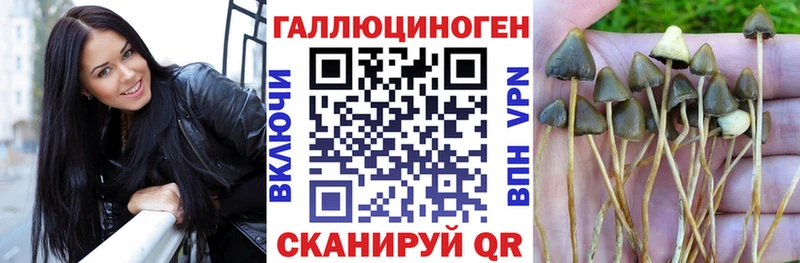 Галлюциногенные грибы мицелий  Губаха 